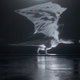 Imagen: Gilles Augustijnen (Vimeo)